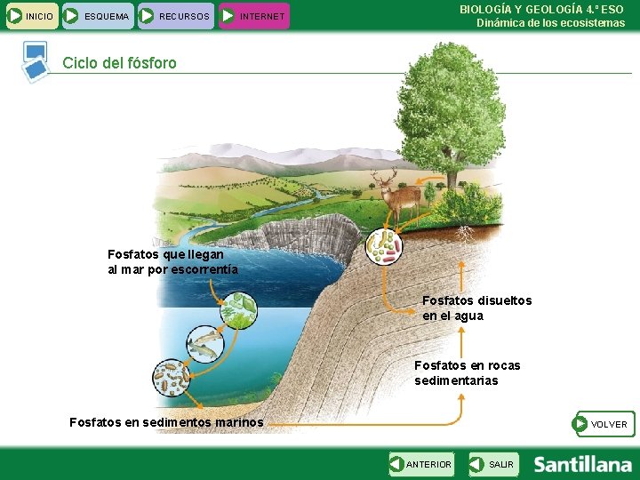 INICIO ESQUEMA RECURSOS BIOLOGÍA Y GEOLOGÍA 4. º ESO Dinámica de los ecosistemas INTERNET