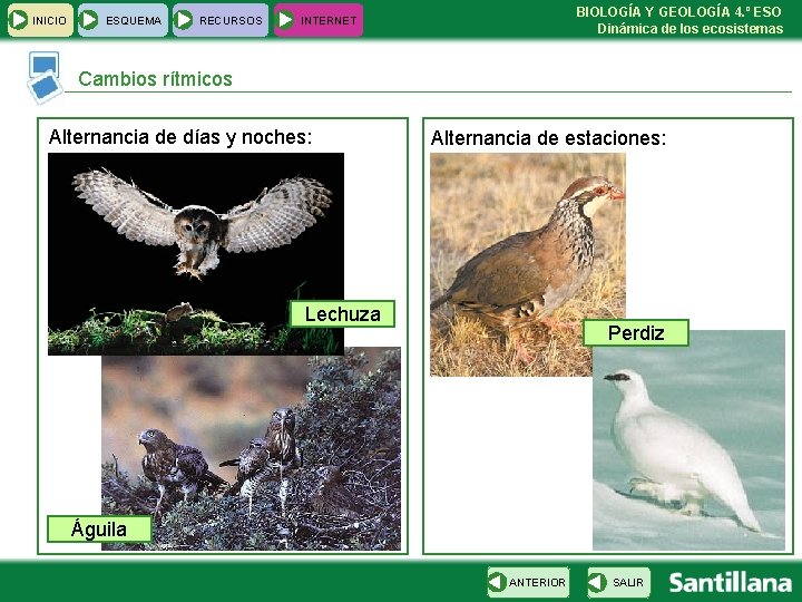 INICIO ESQUEMA RECURSOS BIOLOGÍA Y GEOLOGÍA 4. º ESO Dinámica de los ecosistemas INTERNET