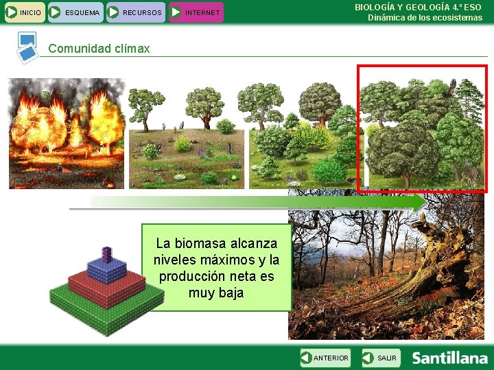 INICIO ESQUEMA RECURSOS BIOLOGÍA Y GEOLOGÍA 4. º ESO Dinámica de los ecosistemas INTERNET