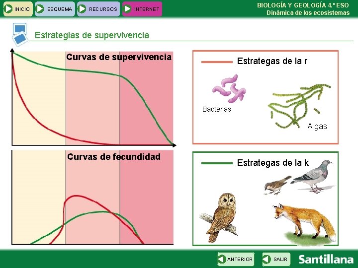 INICIO ESQUEMA RECURSOS BIOLOGÍA Y GEOLOGÍA 4. º ESO Dinámica de los ecosistemas INTERNET