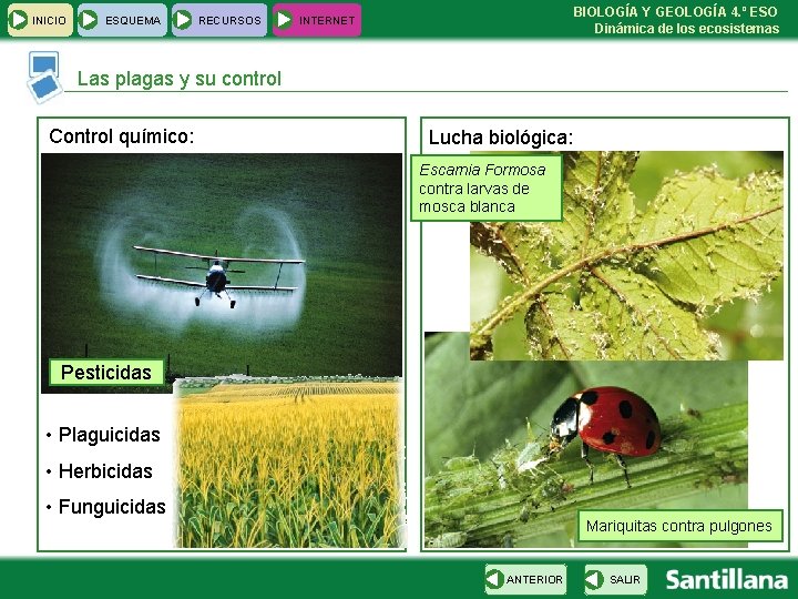 INICIO ESQUEMA RECURSOS BIOLOGÍA Y GEOLOGÍA 4. º ESO Dinámica de los ecosistemas INTERNET