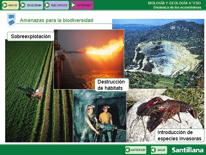 INICIO ESQUEMA RECURSOS BIOLOGÍA Y GEOLOGÍA 4. º ESO Dinámica de los ecosistemas INTERNET