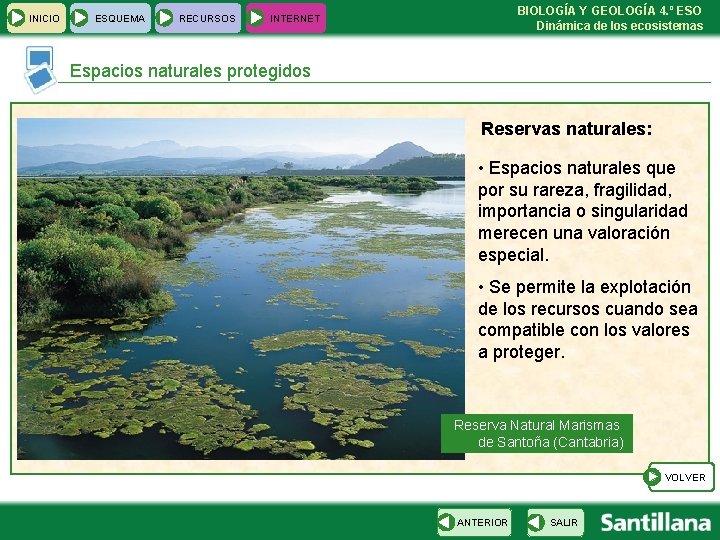 INICIO ESQUEMA RECURSOS BIOLOGÍA Y GEOLOGÍA 4. º ESO Dinámica de los ecosistemas INTERNET