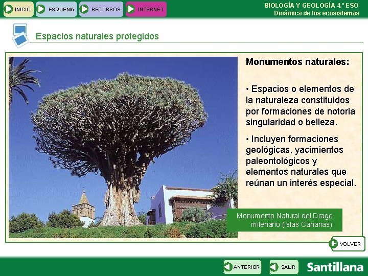 INICIO ESQUEMA RECURSOS BIOLOGÍA Y GEOLOGÍA 4. º ESO Dinámica de los ecosistemas INTERNET
