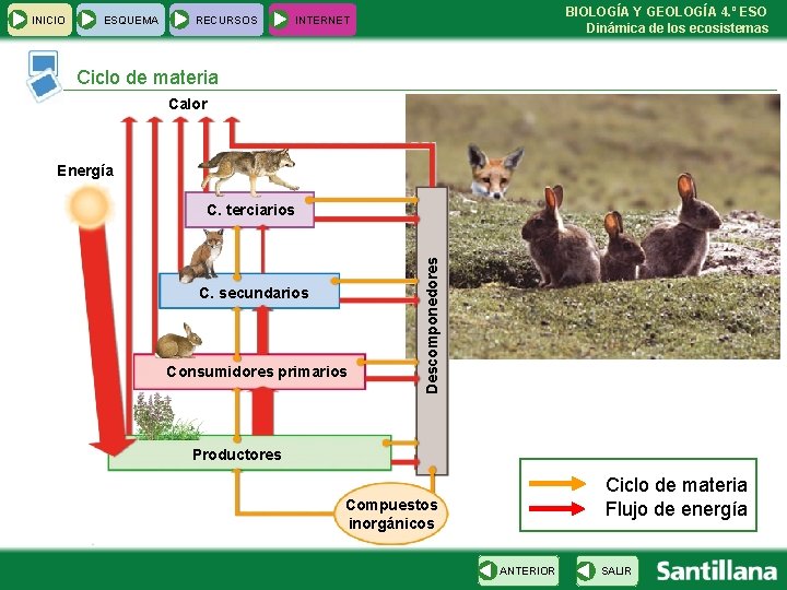 INICIO ESQUEMA RECURSOS BIOLOGÍA Y GEOLOGÍA 4. º ESO Dinámica de los ecosistemas INTERNET