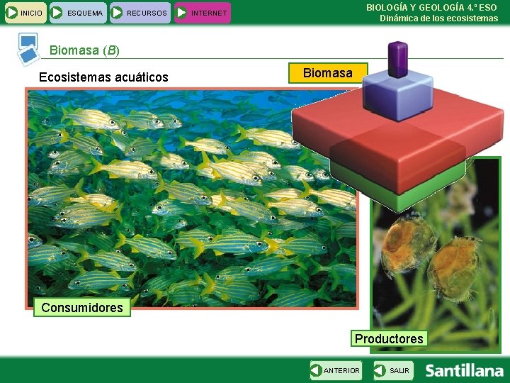 INICIO ESQUEMA RECURSOS BIOLOGÍA Y GEOLOGÍA 4. º ESO Dinámica de los ecosistemas INTERNET