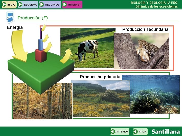 INICIO ESQUEMA RECURSOS BIOLOGÍA Y GEOLOGÍA 4. º ESO Dinámica de los ecosistemas INTERNET