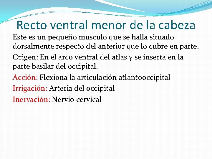 Recto ventral menor de la cabeza Este es un pequeño musculo que se halla