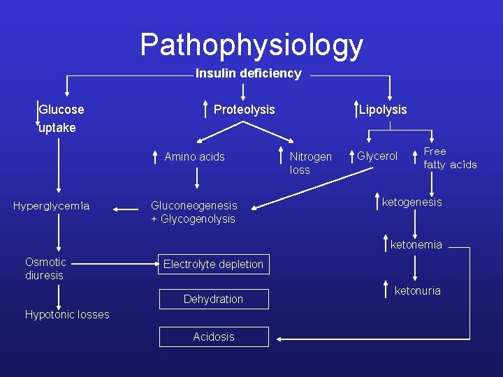 Pathophysiology Insulin deficiency Glucose Proteolysis Lipolysis uptake Amino acids Hyperglycemia Gluconeogenesis + Glycogenolysis Nitrogen