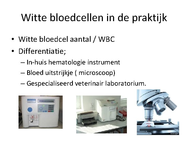 Witte bloedcellen in de praktijk • Witte bloedcel aantal / WBC • Differentiatie; –