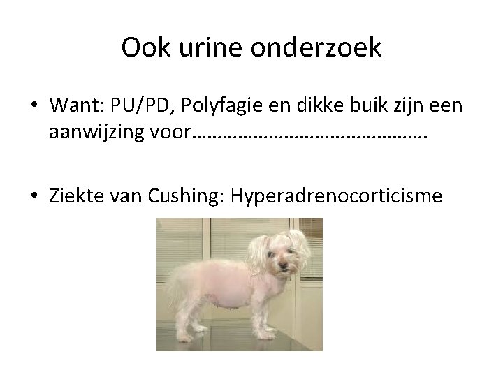 Ook urine onderzoek • Want: PU/PD, Polyfagie en dikke buik zijn een aanwijzing voor…………………….