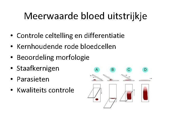 Meerwaarde bloed uitstrijkje • • • Controle celtelling en differentiatie Kernhoudende rode bloedcellen Beoordeling