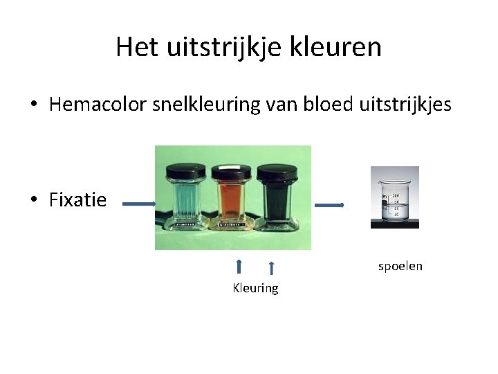 Het uitstrijkje kleuren • Hemacolor snelkleuring van bloed uitstrijkjes • Fixatie spoelen Kleuring 