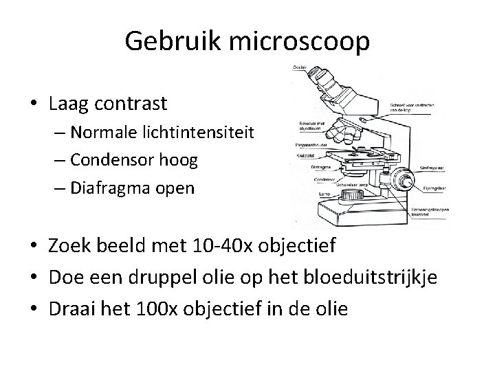 Gebruik microscoop • Laag contrast – Normale lichtintensiteit – Condensor hoog – Diafragma open