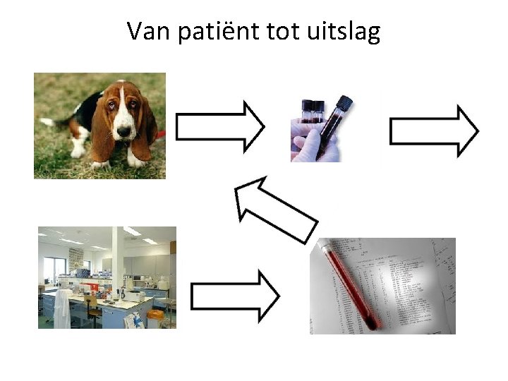 Van patiënt tot uitslag 