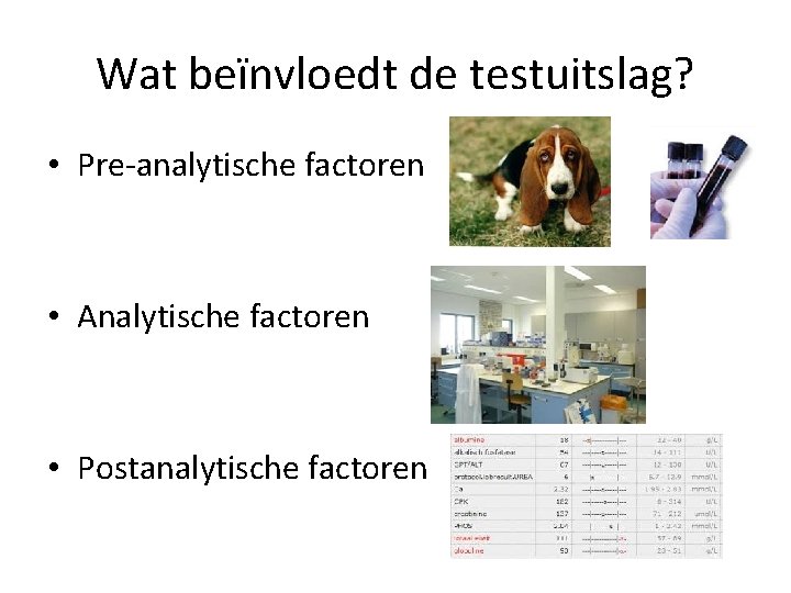 Wat beïnvloedt de testuitslag? • Pre-analytische factoren • Analytische factoren • Postanalytische factoren 