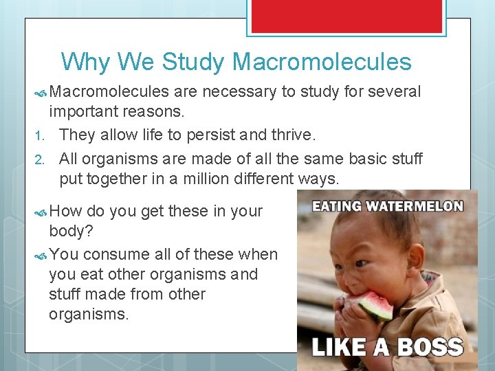 Why We Study Macromolecules are necessary to study for several important reasons. 1. They