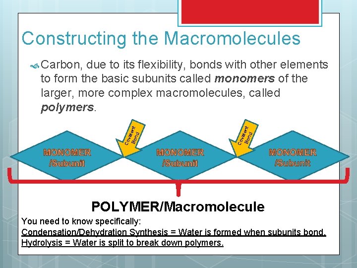 Constructing the Macromolecules Co va Bo lent nd due to its flexibility, bonds with