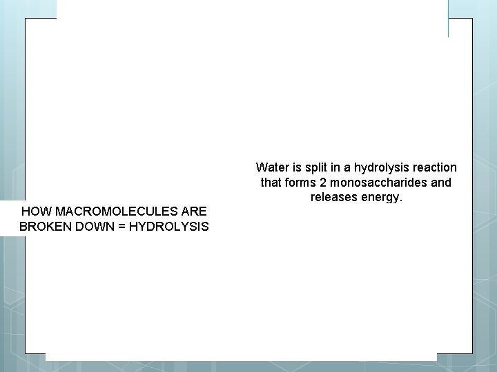 Energy Released Water is split in a hydrolysis reaction that forms 2 monosaccharides and