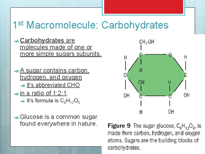 1 st Macromolecule: Carbohydrates are molecules made of one or more simple sugars subunits.
