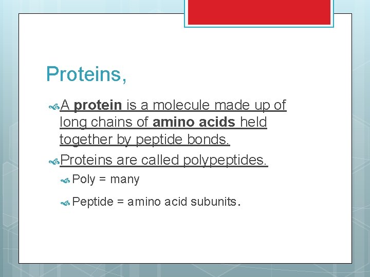 Proteins, A protein is a molecule made up of long chains of amino acids