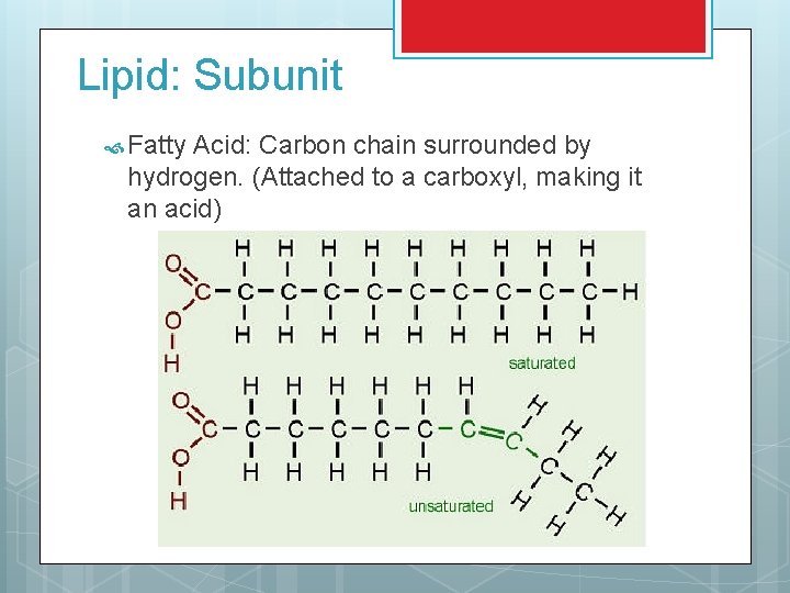 Lipid: Subunit Fatty Acid: Carbon chain surrounded by hydrogen. (Attached to a carboxyl, making