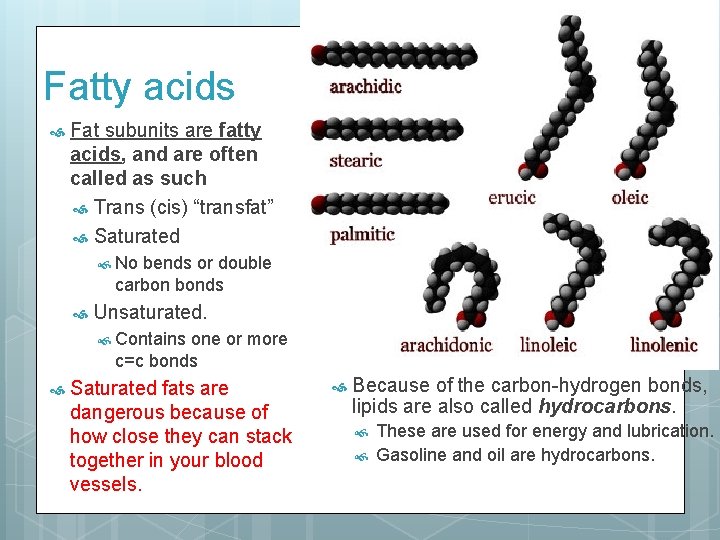 Fatty acids Fat subunits are fatty acids, and are often called as such Trans