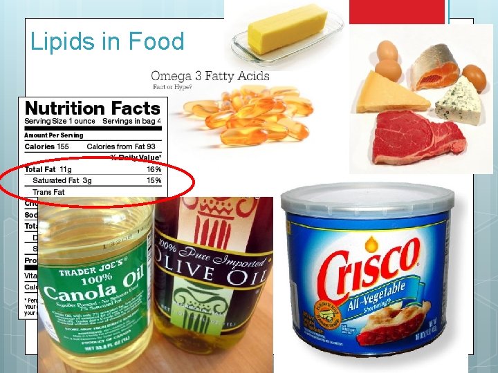 Lipids in Food 