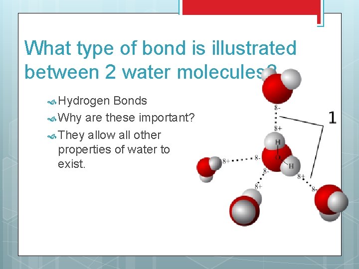 What type of bond is illustrated between 2 water molecules? Hydrogen Bonds Why are