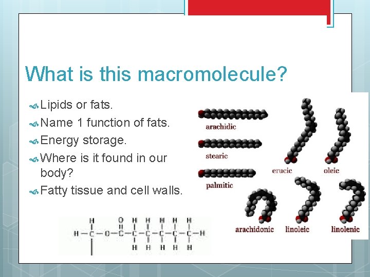 What is this macromolecule? Lipids or fats. Name 1 function of fats. Energy storage.