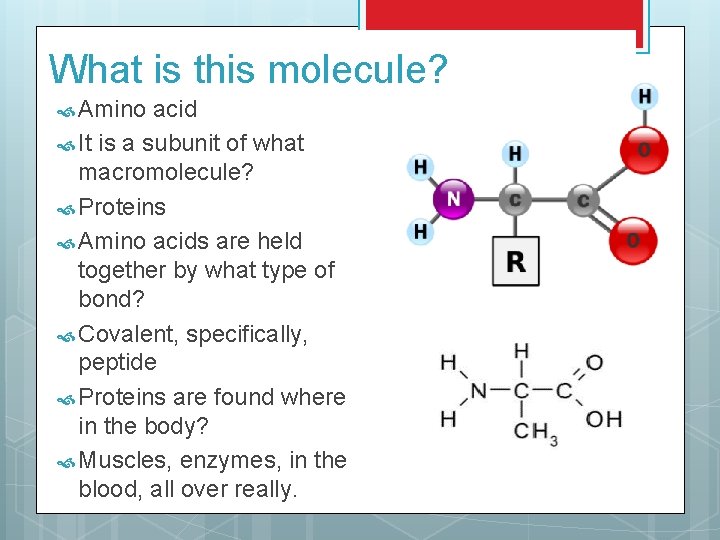 What is this molecule? Amino acid It is a subunit of what macromolecule? Proteins