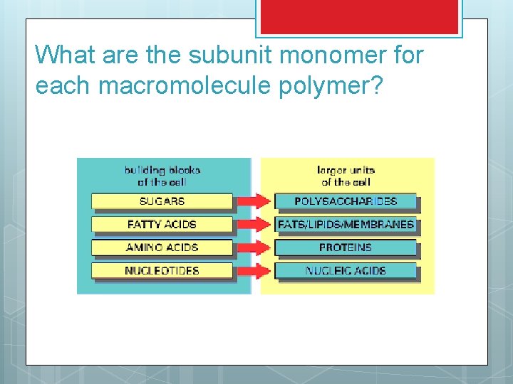 What are the subunit monomer for each macromolecule polymer? 