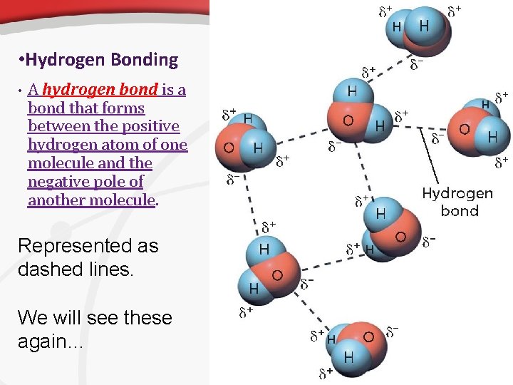  • Hydrogen Bonding • A hydrogen bond is a bond that forms between