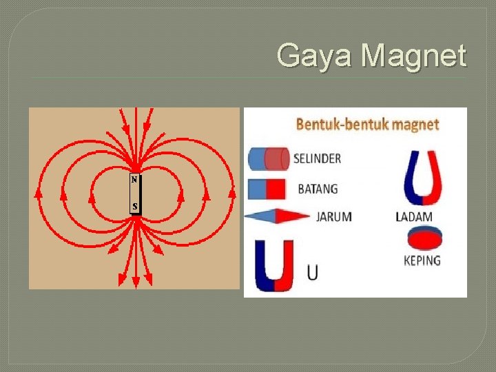 Gaya Magnet 