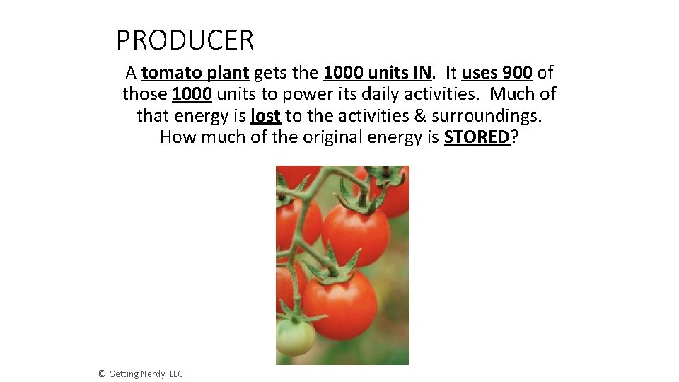 PRODUCER A tomato plant gets the 1000 units IN. It uses 900 of those