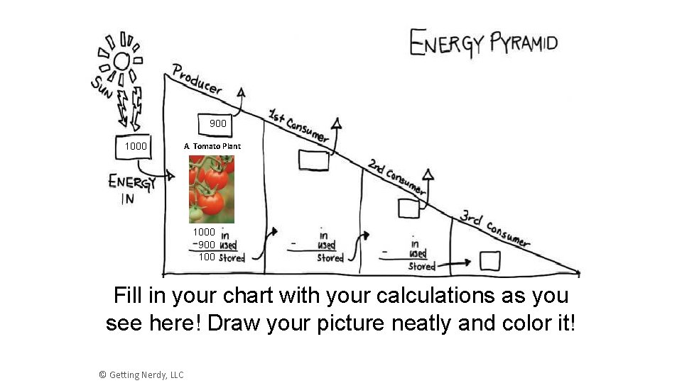 900 1000 A. Tomato Plant 1000 900 100 Fill in your chart with your