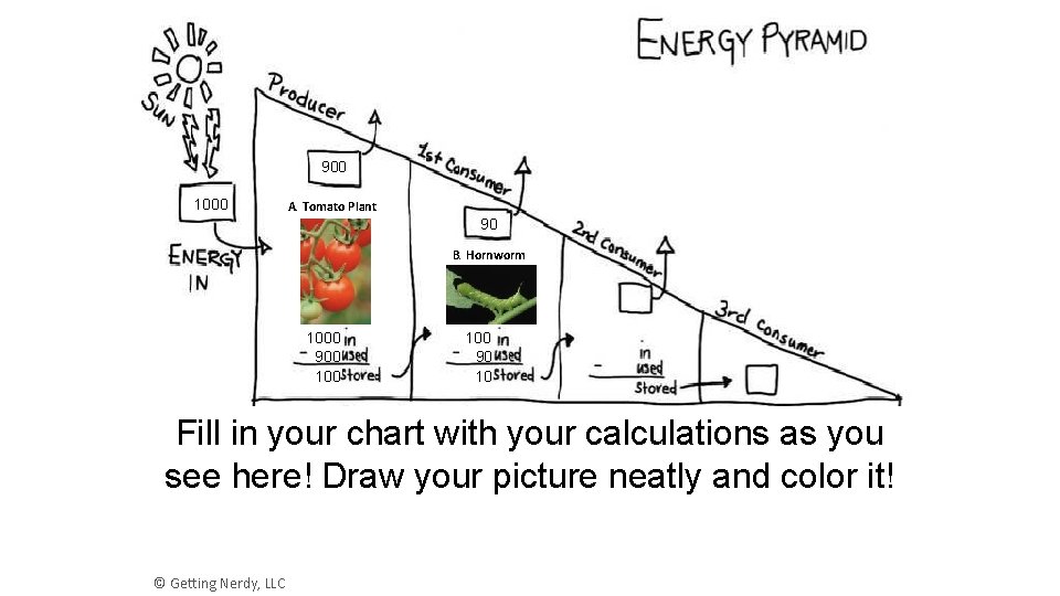 900 1000 A. Tomato Plant 90 B. Hornworm 1000 900 100 90 10 Fill