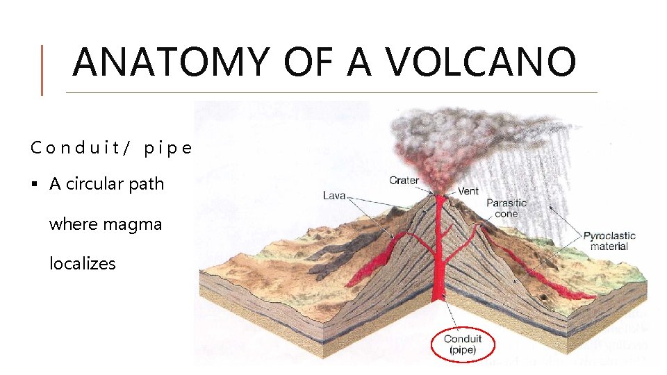 ANATOMY OF A VOLCANO Conduit/ pipe § A circular path where magma localizes ANATOMY OF A VOLCANO Conduit/ pipe § A circular path where magma localizes