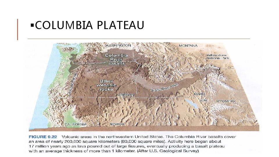 §COLUMBIA PLATEAU §COLUMBIA PLATEAU