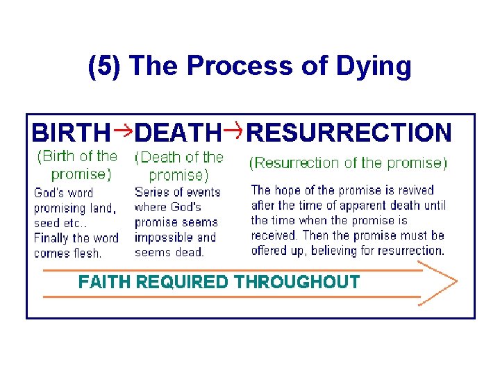 (5) The Process of Dying 