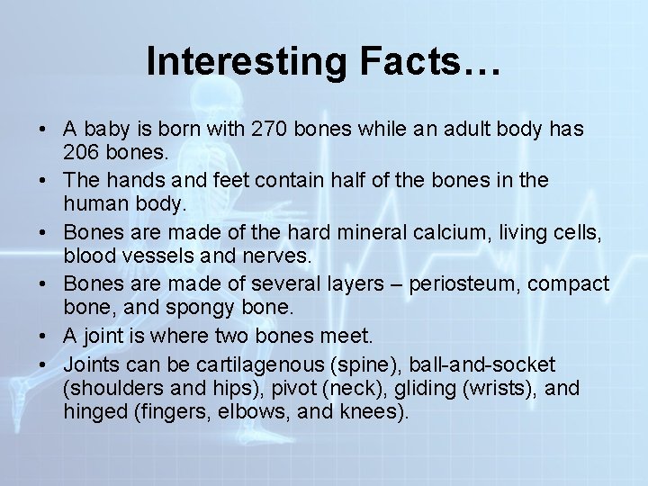 Interesting Facts… • A baby is born with 270 bones while an adult body
