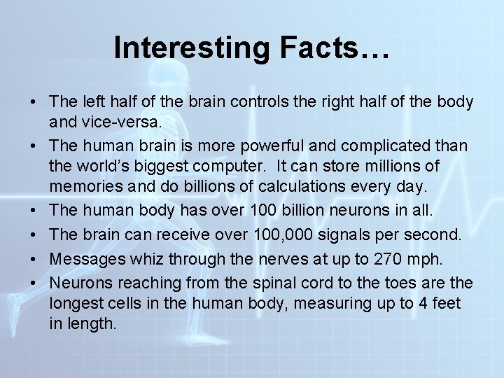 Interesting Facts… • The left half of the brain controls the right half of