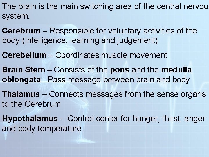 The brain is the main switching area of the central nervous system. Cerebrum –