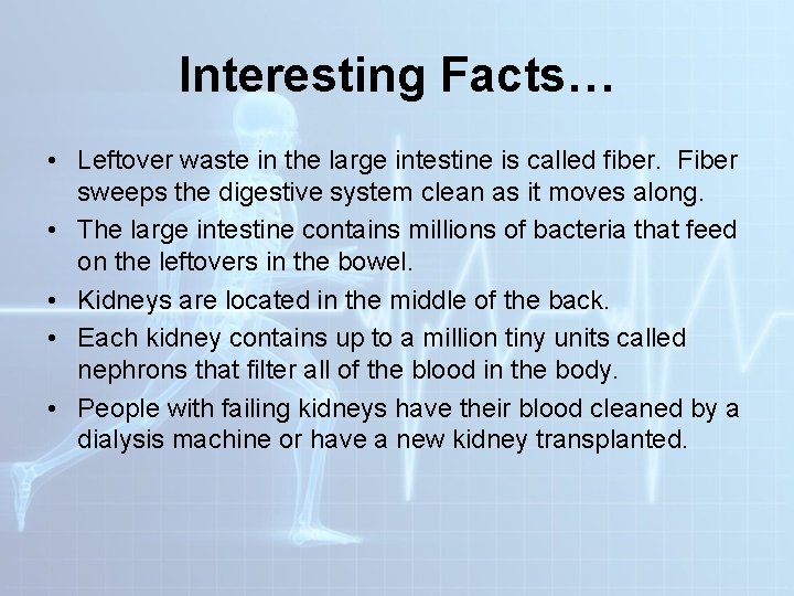 Interesting Facts… • Leftover waste in the large intestine is called fiber. Fiber sweeps