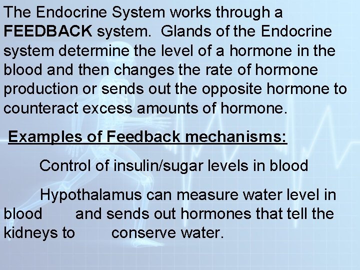 The Endocrine System works through a FEEDBACK system. Glands of the Endocrine system determine