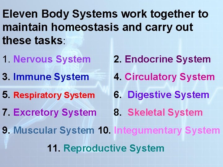 Eleven Body Systems work together to maintain homeostasis and carry out these tasks: 1.