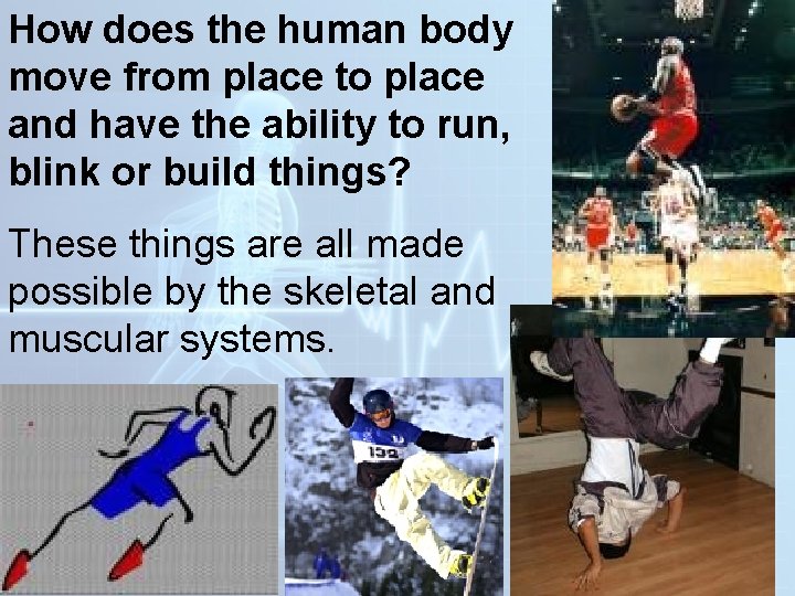 How does the human body move from place to place and have the ability