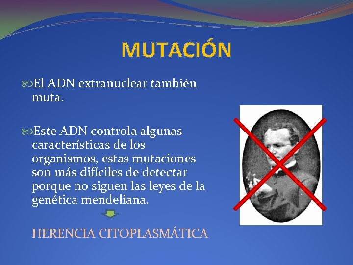 MUTACIÓN El ADN extranuclear también muta. Este ADN controla algunas características de los organismos,