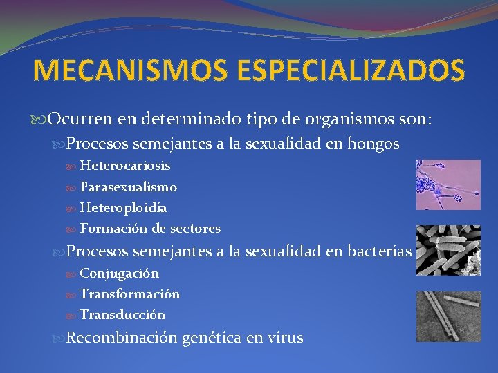 MECANISMOS ESPECIALIZADOS Ocurren en determinado tipo de organismos son: Procesos semejantes a la sexualidad