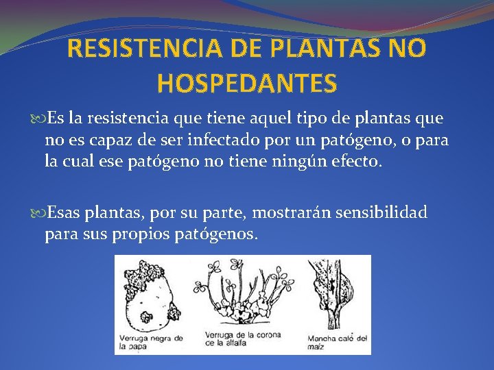 RESISTENCIA DE PLANTAS NO HOSPEDANTES Es la resistencia que tiene aquel tipo de plantas